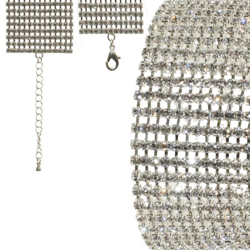 BRA1018Sb.jpg