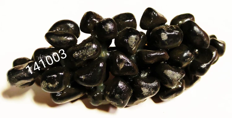 8a7e36e43639ab4735e26e0b0496fef6.jpg