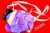 2d5326bba177df25843efa44cefa13f9.jpg